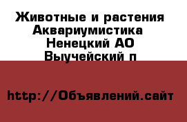 Животные и растения Аквариумистика. Ненецкий АО,Выучейский п.